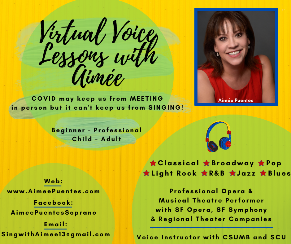 Virtual Voice Lessons with Aimee on Zoom